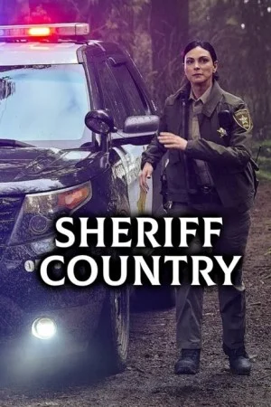 Шериф округа онлайн